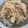 ちゃんすー９９'s cooksnap of when they made 豚とエノキのニンニクバター醤油炒め.