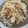 ちゃんすー９９'s cooksnap of when they made 豚とエノキのニンニクバター醤油炒め.