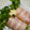 never710's cooksnap of when they made かいわれ大根とハムのｻﾗﾀﾞ.