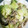 彩悠ママ's cooksnap of when they made 　[牛薄切り肉とレタスの炒めもの].