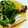 naga_sato's cooksnap of when they made 簡単！ タラとほうれん草のバター焼き.
