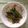 mocomoco♪'s cooksnap of when they made 旬！！アスパラの簡単おひたし^_^.