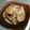 はらだぺこちゃん's cooksnap of when they made 普通のしょうが焼き.