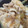 まあみんちゃ's cooksnap of when they made おろし玉ねぎたっぷり❀豚の生姜焼き.