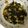 クック4DYTK7☆'s cooksnap of when they made 塩レモンとズッキーニとわかめのさっと炒め.