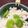 ☆kamemachi's cooksnap of when they made そらまめご飯.