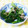 あ～ちゃんさ～ちゃん's cooksnap of when they made ブロッコリーのからし(わさび)醤油和え.