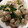 nursemam's cooksnap of when they made レンジで簡単☆ササミとナメタケの和え物.