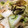 まどやん☆'s cooksnap of when they made 白菜の簡単塩こぶ和え.