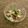 ★Yuring★'s cooksnap of when they made オクラとミョウガの梅ごま和え.