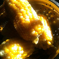 Sacchos's cooksnap of when they made ♪とうもろこしのおいしい茹で方♪.