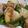 クック1W6D2V☆'s cooksnap of when they made 新じゃがのコロコロ肉巻き.