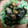 クックTXEBE1☆'s cooksnap of when they made 大豆とひじきとちくわサラダ.