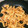 ちーぱっくん's cooksnap of when they made めっけもん♪タケノコのささっと土佐炒め.