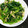 そらゆいのママ's cooksnap of when they made 簡単！ほうれん草とツナのマヨ醤油炒め.