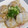 mimosayo's cooksnap of when they made 里芋とゴマだれとネギと.