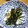 ゆいランラン's cooksnap of when they made ✿長いも千切りの白だし酢和え.