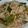 ギャプラン's cooksnap of when they made 簡単手抜き☆肉うどん☆１人ランチにも.