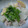 あみほ1979's cooksnap of when they made カブと豚肉のさっと煮.