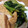 ともしんmama's cooksnap of when they made 小松菜と厚揚げ…お好きですか？！.