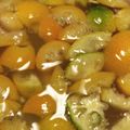 カンパーニュ♥'s cooksnap of when they made 酵母液 きんかん.