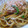 3匹の子ブタｍａｍａ's cooksnap of when they made 我が家の焼きうどん✿.
