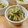 うららすもも's cooksnap of when they made ★もやしときゅうりの胡麻酢和え★.