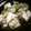 J・0505's cooksnap of when they made ナスと鶏もものみぞれ和え.