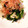 yuri827's cooksnap of when they made ほうれん草と玉ねぎのお浸し.