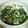 Natabon's cooksnap of when they made ニラとシイタケのとろろ蒸し.