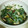 Natabon's cooksnap of when they made ニラとシイタケのとろろ蒸し.