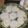 みゆwaco 's cooksnap of when they made 涼しげ☆そうめんの盛り付け.