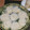 みゆwaco 's cooksnap of when they made 涼しげ☆そうめんの盛り付け.