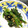 ロコモコロコ's cooksnap of when they made 簡単すぎて笑えちゃうほうれん草のおひたし.