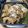 ともぱんたから's cooksnap of when they made 簡単！鶏モモの照り煮.