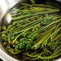 にゃん♪にゃん♪'s cooksnap of when they made 簡単‼わらびのアク抜き.