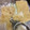 seacomet's cooksnap of when they made しょうがの冷凍保存^_^☆.