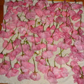 parisVERT's cooksnap of when they made 桜の花の塩漬け.