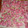 parisVERT's cooksnap of when they made 桜の花の塩漬け.