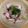 せつみか's cooksnap of when they made たこの柚子胡椒マリネ.