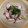 せつみか's cooksnap of when they made たこの柚子胡椒マリネ.