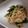 ありなみん1's cooksnap of when they made にらもやしの中華.