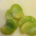 トントンくつくつ's cooksnap of when they made 初夏の味！そら豆のゆで方.