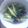 ☆しいたんママ☆'s cooksnap of when they made もずく胡瓜のオリーブオイル和え.