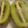 クックZ69KDS☆'s cooksnap of when they made 私のキウイの切り方´ω｀.