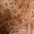 コチェコ's cooksnap of when they made ５分で簡単♬ピリカラもやし☆彡.