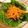 クック6ZKC6A☆'s cooksnap of when they made にんじんサラダ（キャロットラペ）.