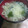 なおつん0802's cooksnap of when they made わかめとじゃがいものみそ汁.