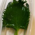 ガラパ's cooksnap of when they made 大葉の保存方法.