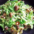 みゃじま's cooksnap of when they made ＊もりもりレタスときのこの中華炒め＊.
